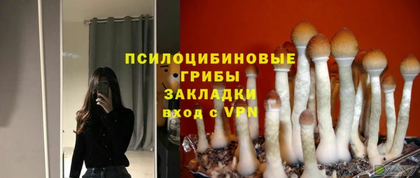 индика Абинск