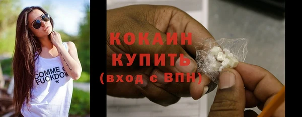 индика Абинск
