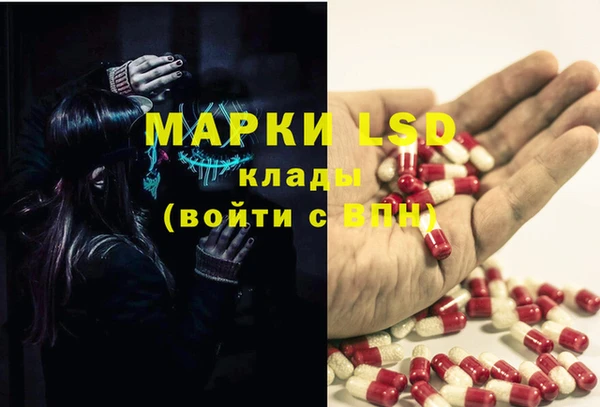 индика Абинск