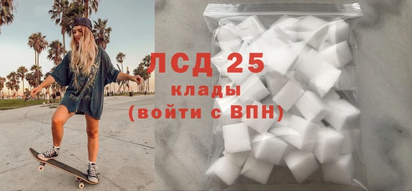 индика Абинск