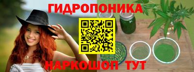 СК Канаш