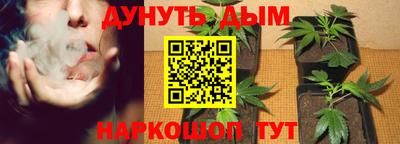 СК Канаш