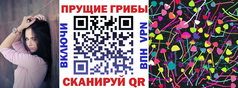 OMG как войти  Кохма  Псилоцибиновые грибы GOLDEN TEACHER 