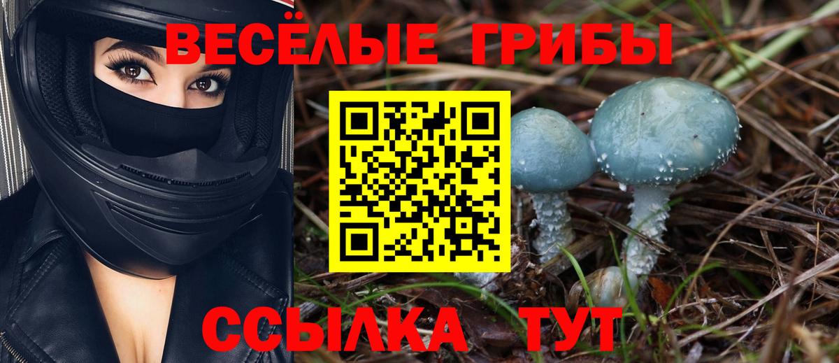 Кохма  Галлюциногенные грибы MAGIC MUSHROOMS  Вход с VPN 