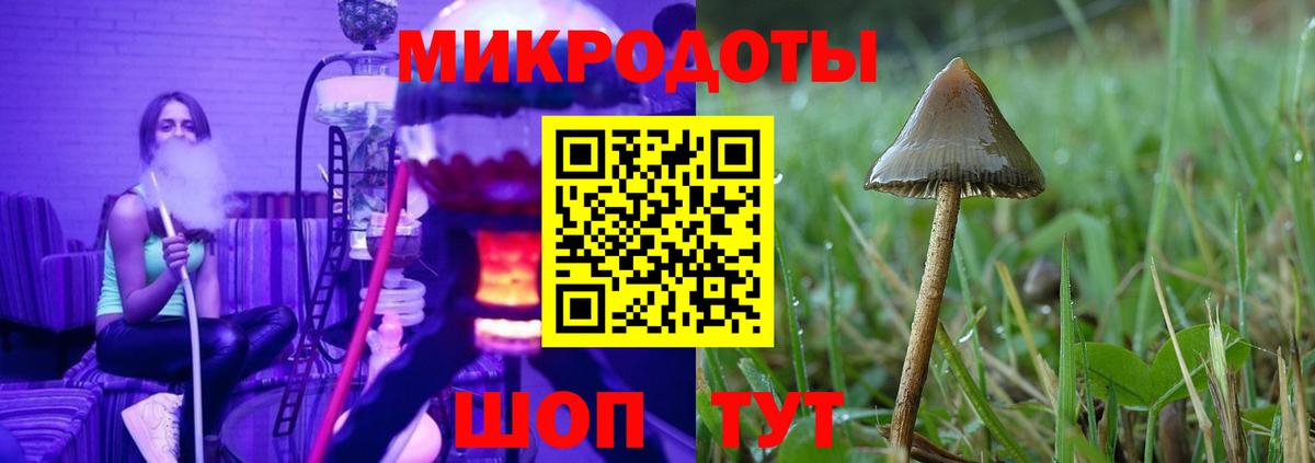 Псилоцибиновые грибы прущие грибы Кохма