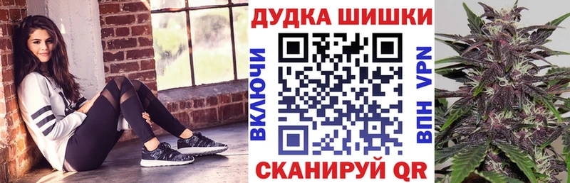 Конопля план  Кохма 